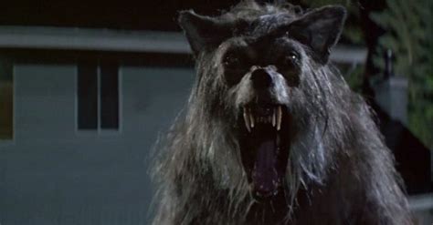This canadian reality series follows brothers marty and rick lagina as horror movie fanatic and journalist tal zimmerman explores the psychology of horror around the. F This Movie!: Riske Business: 12 More Underrated Horror ...