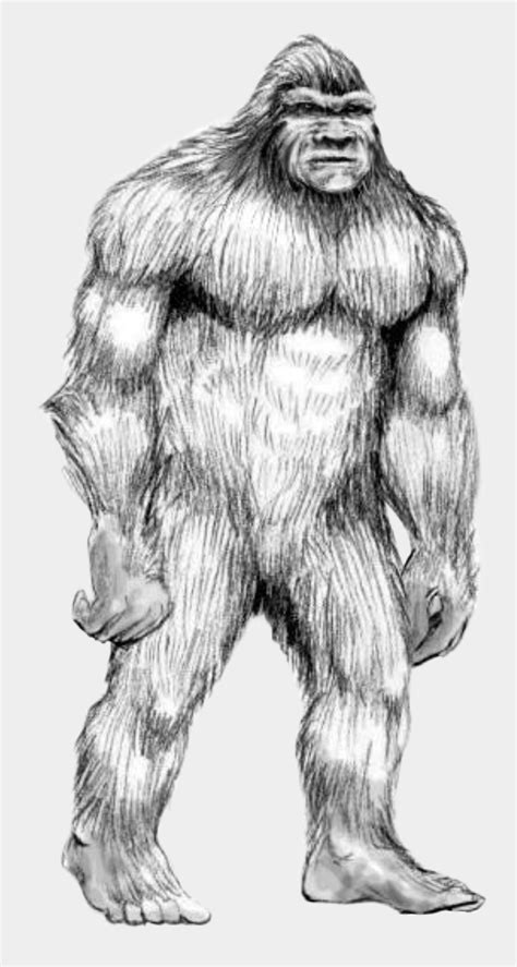 Bigfoot Drawing Pencil Sketch And Color Ideas Images Drawing All