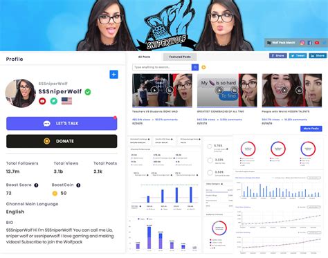 Sample Social Media Influencer Channel Profile And Stats Youtube