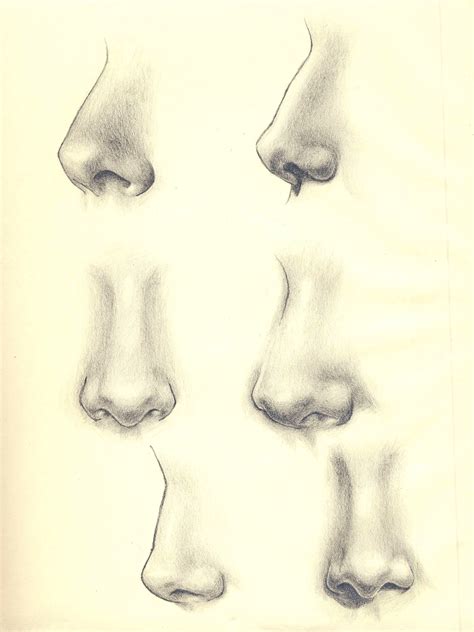 My Sketches Of Noses Pencil On Paper Nose Drawing Sketch Nose