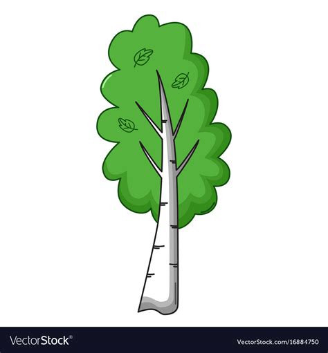 Birch Tree Clip Art Free Vector N Clip Art