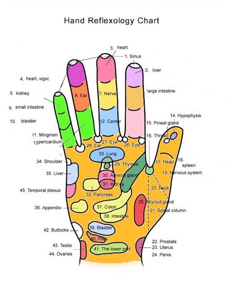 Hand Reflexology Reflexology Chart Reflexology