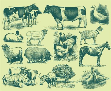 Vector farm animals silhouettes isolated ,vector illustration.s. Green Farm Animal Illustrations Vector Art & Graphics ...