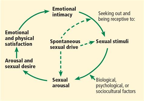 Sexual Dysfunction In Women Can We Talk About It Cleveland Clinic Journal Of Medicine
