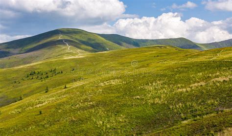 Grassy Hillside On Mountain In Summer Stock Image Image Of Landscape