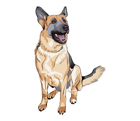 Download High Quality Puppy Clipart German Shepherd Transparent Png