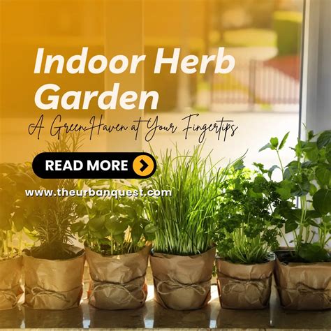 Indoor Herb Garden Grow Fresh Herbs At Home