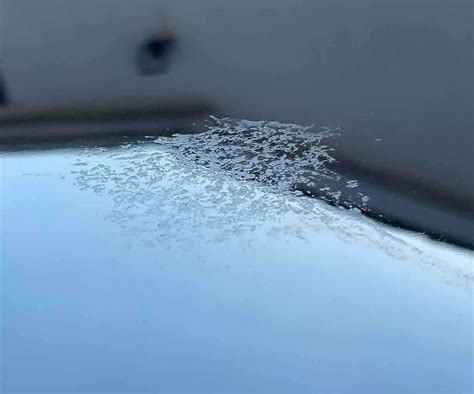 How To Remove Old Bird Poop Stains From Your Car Yourcar Uk Guide