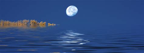 Moon With Reflection Over Lake Digital Art By Judi Dressler Pixels