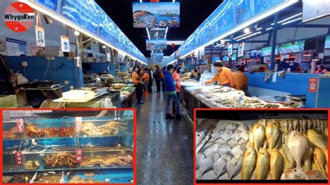 Beijing Fish Market Youtube