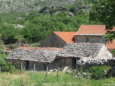 Adriatic.hr has over 13000 apartments and 500 hotels on offer. Konavle - Istrien / Kroatien: Photos und Bilder aus ...