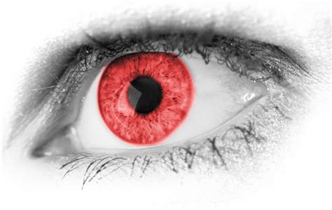Red Eye Detail Free Stock Photos In Jpeg  3426x2283 Format For