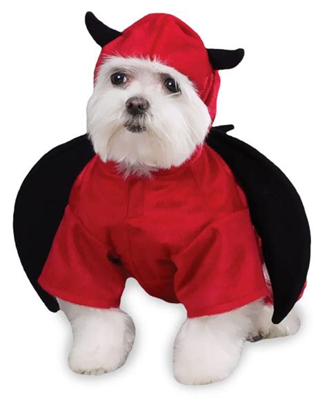 Top 10 Angel Dog Costumes Halloween
