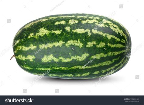 Long Watermelon Over 3725 Royalty Free Licensable Stock Photos