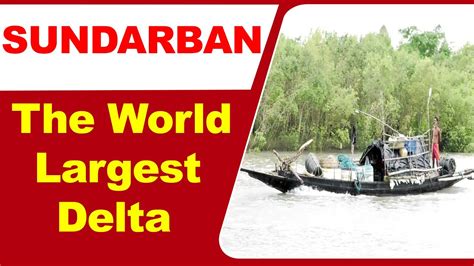 Must See Visit Sundarban World Largest Delta Sundarban Largest