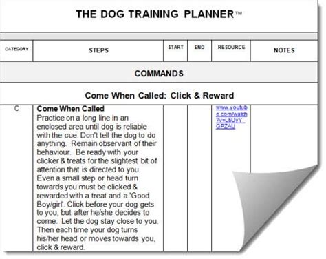 How To Write A Dog Training Plan 3 Easy Steps