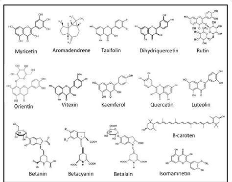 structures of most important phytochemicals found in opuntia download scientific diagram