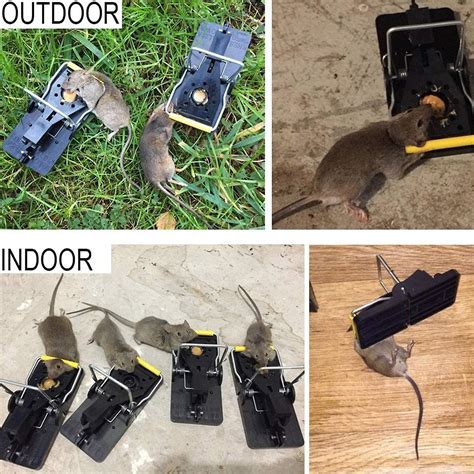 Bazhou Mouse Trap That Work Instantly Quick Response Reusable Rat Trap Plastic Pedal Mousetraps