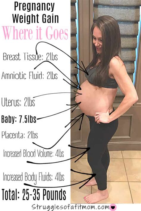 Pregnancy And Fat Loss Expert Tips To Do It Safely