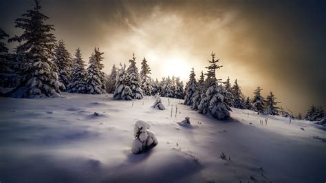 White Snow Covered Mountain With Snow Covered Trees Under