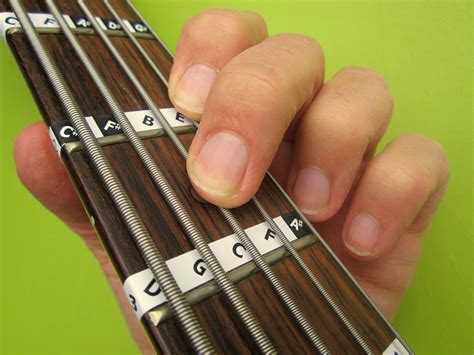 STRING BASS GUITAR FRETBOARD NOTE LABELS Learn Fret Stickers Online Lessons EBay