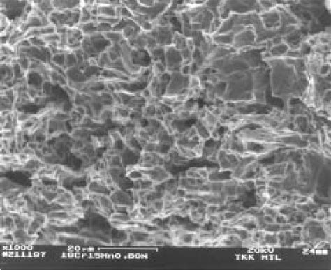 Ductile fracture surface from an edge-cracked area of 19Cr ...