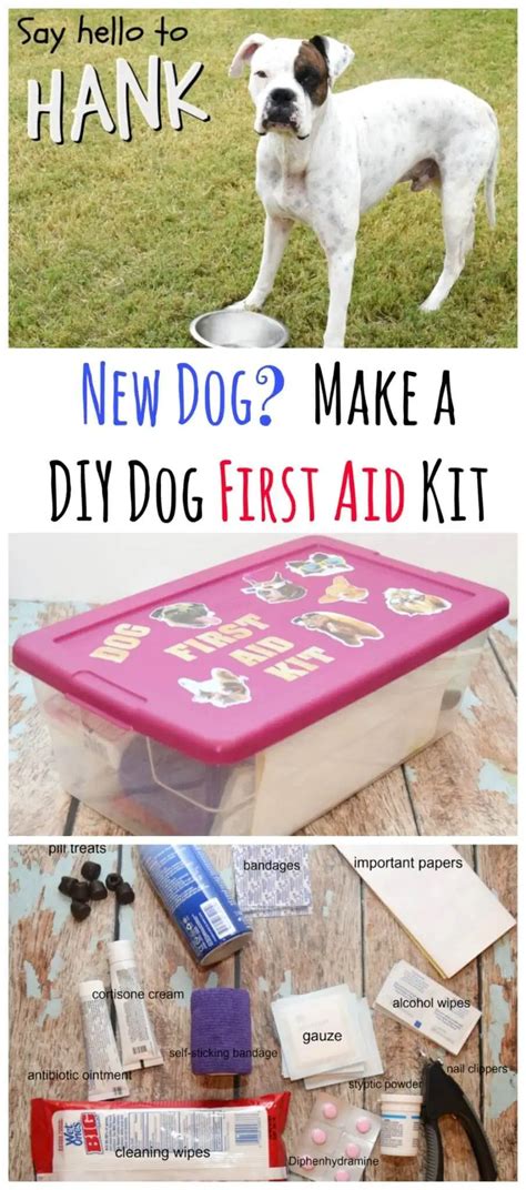 New Dog Diy Dog First Aid Kit Artofit