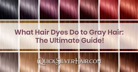 What Hair Dyes Do To Gray Hair The Ultimate Guide