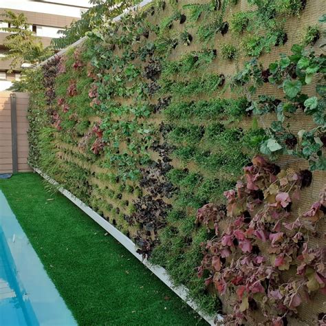 Jardines Verticales Guía Para Descubrir Todo Sobre Los Muros Verdes