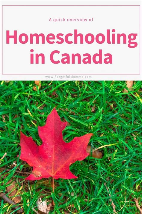 I am not sponsored by. Homeschooling in Canada | Homeschool, Homeschool apps, How ...