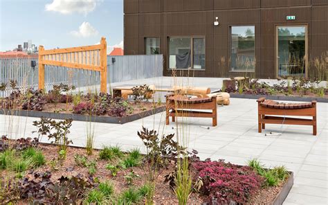 Here's an abridged list of their benefits: UCC Campus Carlsberg, Copenhagen | ZinCo Green Roof Systems