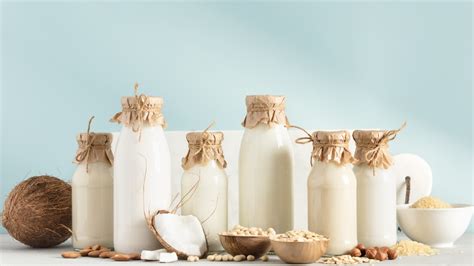 19 Types Of Plant Milk Explained