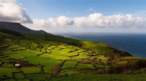Hoje vamos até a ilha do pico nos açores! Pico Azores - a truthful guide to visit the island and ...