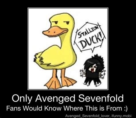 Stallion Duck Avenged Sevenfold Fans Avenged Sevenfold A7x