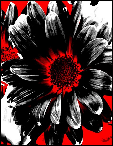 Abstract Red White And Black Daisy Photograph By Angelina