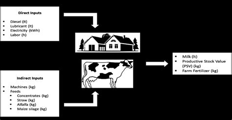 Inputs And Outputs Scheme Of Dairy Cattle Farms Source Research