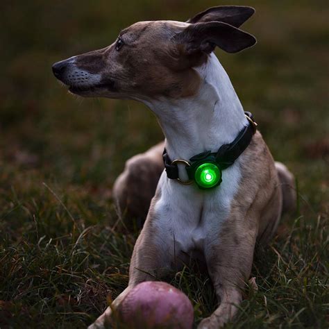 Orbiloc Dog Led Safety Lights Dual Flash Collar Clip Low Light Night