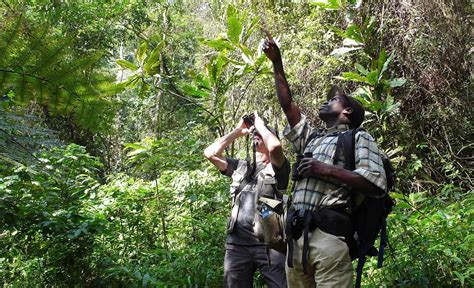 Nkuringo Gorilla Lodge The Africa Adventure Company