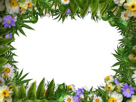 Flower Frame Border Png With Green Leaves Background Nature Grass And
