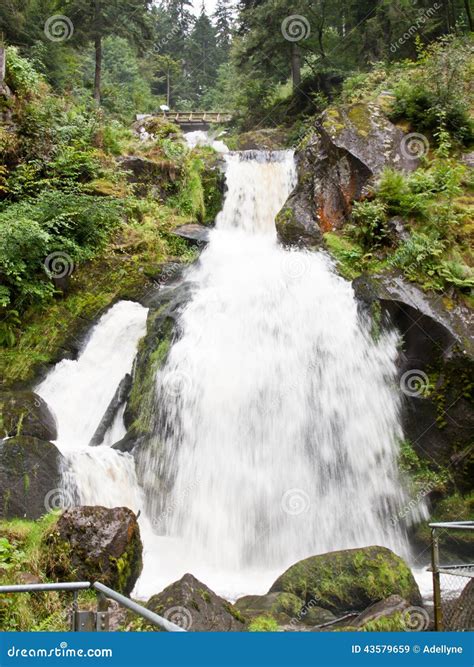Triberg Waterfall In Black Forest Stock Image Image Of Triberg