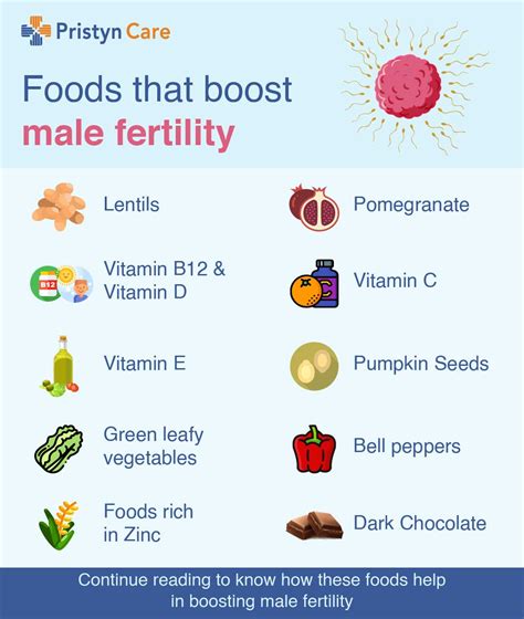 10 Food To Increase Your Sperm Count And Fertility Food Poin