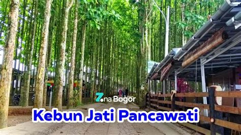 Wisata Kebun Jati Pancawati Bogor Harga Tiket Masuk Dan Lokasi