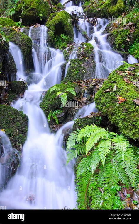 Crystal Clear Waterfall Cascade Over Rocks With Ferns And Moss