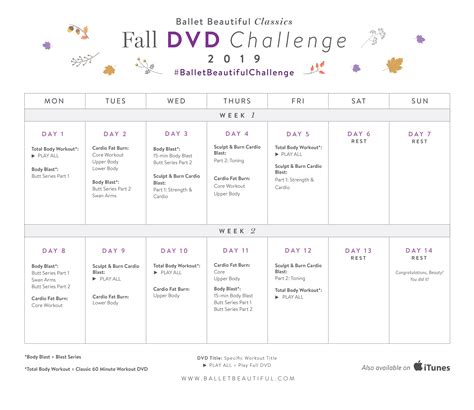 Fall Dvd Challenge Ballet Beautiful