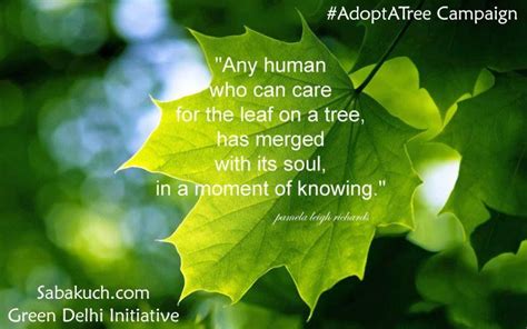 Adopt A Tree Campaign Keep Calm And Adopt A Tree Save Nature Save