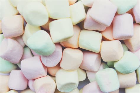 The Ultimate Guide To The Marshmallow Test And Delayed Gratification