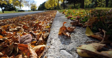 Fond du Lac will collect leaves in the city, beginning Oct. 14