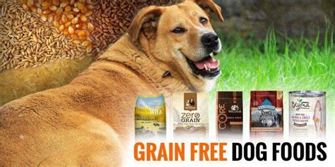 Looking for what is grain free dog food? 5 Best Grain-Free Dog Foods — Reviews and Buying Guide