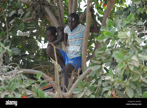 Locals find a vantage point in a tree to get a glimpse of Argentina and