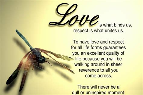Amazing Love Quotes Wallpaper 00179 Baltana